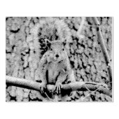 Faux fox eekhoorn 	rubberstempel (Afrduk)