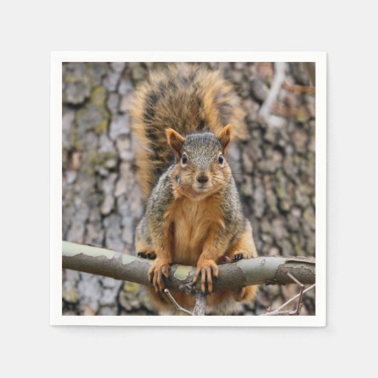 Faux fox eekhoorn servet (Voorkant)