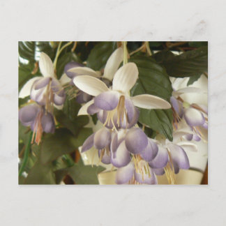 Faux Fuschia Briefkaart