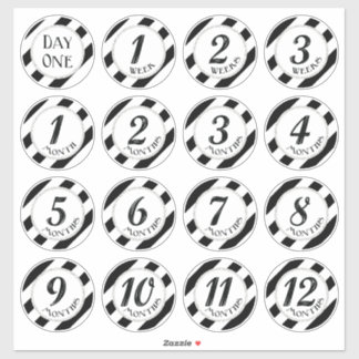 Faux Glitter Baby Milestone Stickers