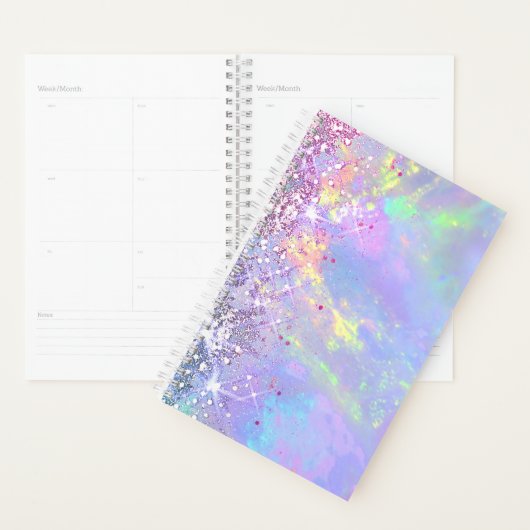 faux glitter opal planner (Display)