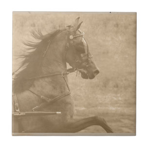 Faux  Hackney Tegeltje