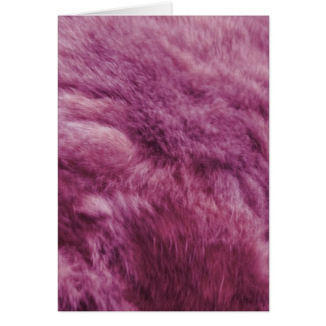 Faux Pink Cat Fur (Devant)