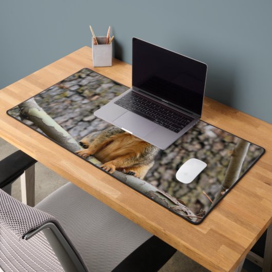 Faux renard écureuil (Bureau 2)
