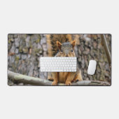 Faux renard écureuil (Clavier et souris)