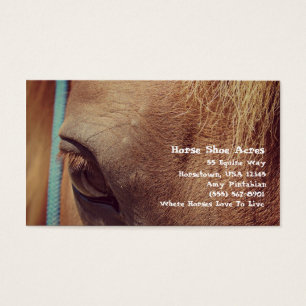 Faux  Sorrel Horse Visitekaartje