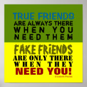 FAUX vs VRAI ~ Affiche 30x30 cm (Devant)