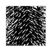 Faux Wolf Bont textuur Rubberstempel (Afrduk)