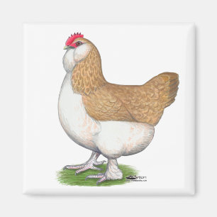 Faverolle Hen Magneet