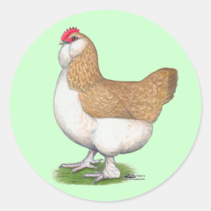 Faverolle Hen Ronde Sticker