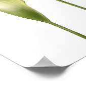 Faveurs de poster de mariage "Callas délicats". (Coin)