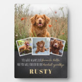 Favori Hello Hardest Goodbye Pet Memorial Plaque (Devant)