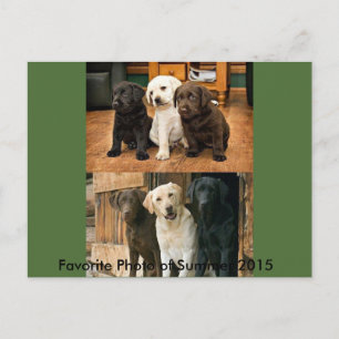 Favoriete foto van 2015: Briefkaart