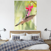 Favoriete Fuchsia Hummingbird Canvas Afdruk (Insitu (Slaapkamer))