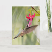 Favoriete Fuchsia Hummingbird Kaart (Voorkant)