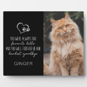 Favoriete Hallo Harde Vaarwel Kat Memorial Fotoplaat (Voorkant)