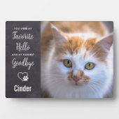 Favoriete Hallo hardste afscheid van aangepast pak Fotoplaat (voorkant)