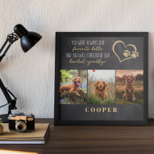 Favoriete Hallo hardste afscheid van Pet Memorial