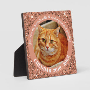 Favoriete Hallo Hardste Vaarwel Roze Goud Huisdier Fotoplaat