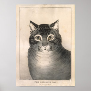 Favoriete kat lithograaf - Nathaniel Currier Poster