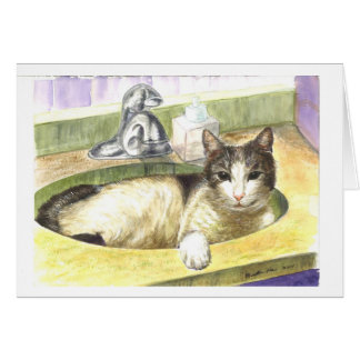 Favoriete plaats van een kat