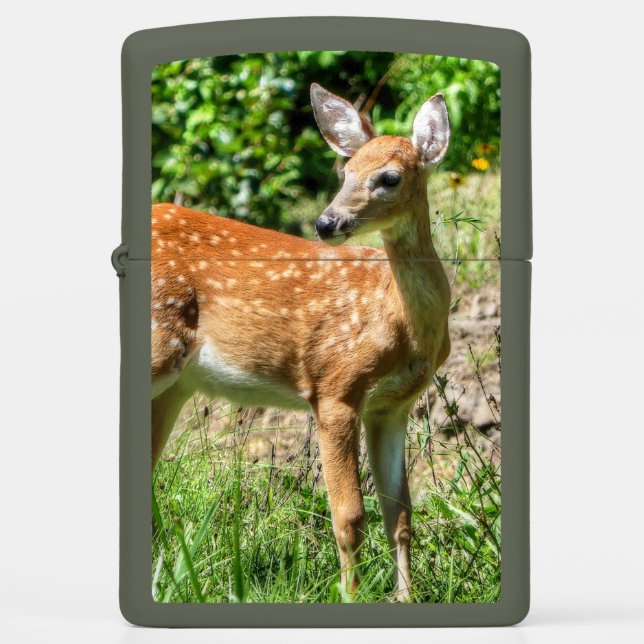 Fawn (Front)