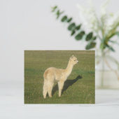 Fawn alpaca briefkaart (Staand voorkant)