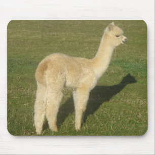 Fawn alpaca muismat