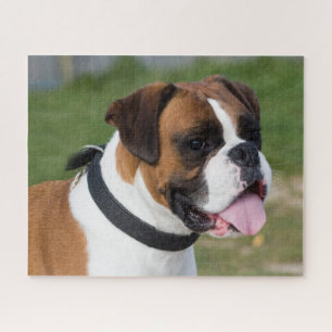 Fawn and White Boxer Puppy Dog Legpuzzel