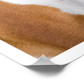 Fawn and White Boxer Standing Poster (Hoek)