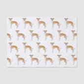 Fawn and White Italiaanse Greyhound Cute Dog Patte Tissuepapier (Voorkant)