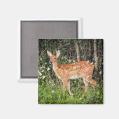 Fawn Baby Deer Woodland Animals Magneet (Voorkant / Achterkant)