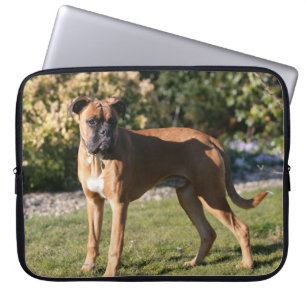 Fawn Boxer Dog Standing Laptop Sleeve