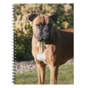 Fawn Boxer Dog Standing Notitieboek