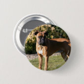 Fawn Boxer Dog Standing Ronde Button 5,7 Cm (Voorkant /achterkant)