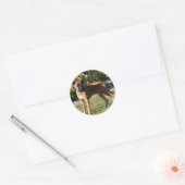 Fawn Boxer Dog Standing Ronde Sticker (Envelop)