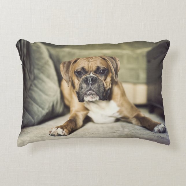 Fawn Boxer Pup Accent Kussen (Voorkant)