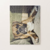 Fawn Boxer Pup Legpuzzel (Verticaal)