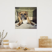 Fawn Boxer Pup Poster (Keuken)