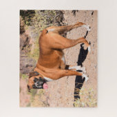Fawn Boxer Puppy Dog Legpuzzel (Verticaal)