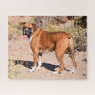 Fawn Boxer Puppy Dog Legpuzzel
