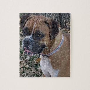 Fawn Boxer Puppy Puzzle - Boxer Dog Puzzles Legpuzzel