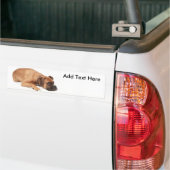 Fawn Boxer Resting Bumpersticker (Op Truck)