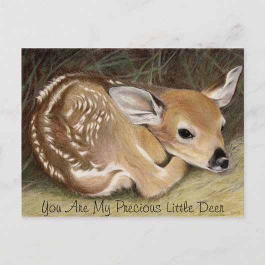 Fawn Briefkaart (Voorkant)