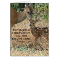 Fawn Deer Natuur Wildlife Christelijke Creationart