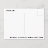 Fawn en juillet Carte postale (Dos)