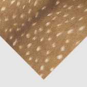 Fawn Fur Baby Deer Skin Tissuepapier (Detail)
