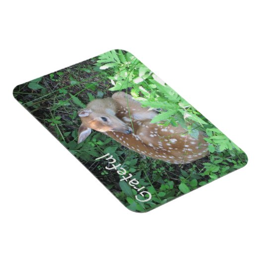 Fawn Gratitude Magneet (Rechterzijde)