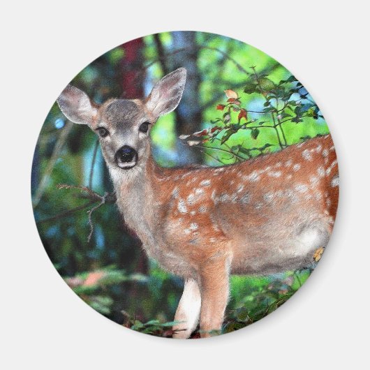 Fawn Magneet (Voorkant)