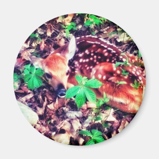 FAWN MAGNEET (Voorkant)